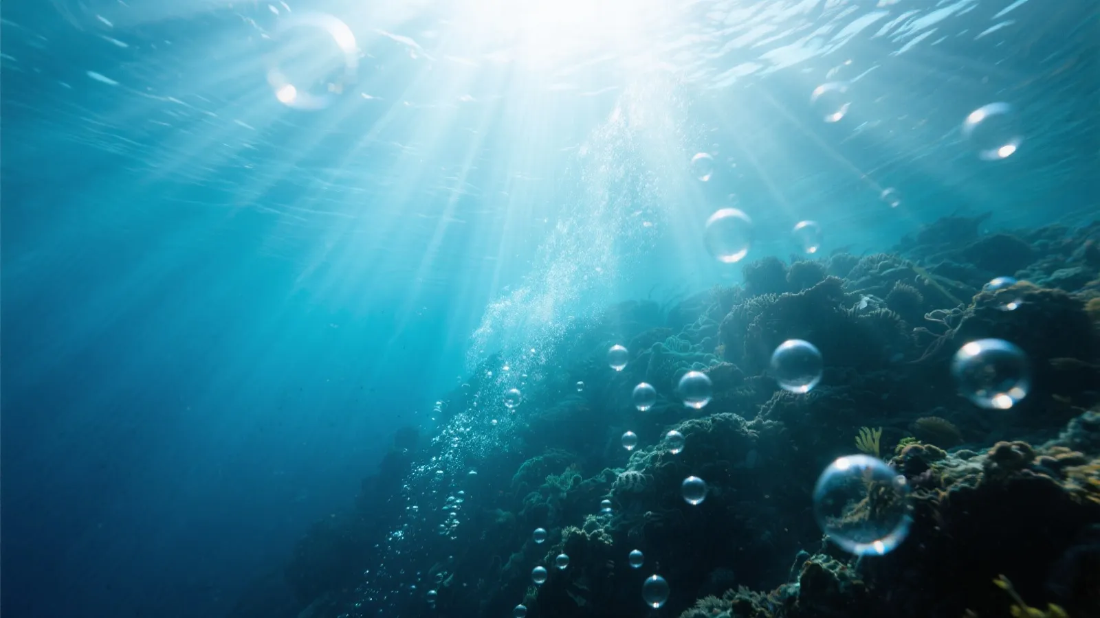 海底世界装饰背景